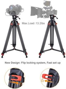 img 1 attached to 📷 High-Quality Heavy Duty Tripod: Professional 72-inch Video Tripod with 360° Fluid Head for Canon Nikon DSLR Camcorder Cameras - Aluminum Construction