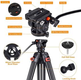 img 2 attached to 📷 High-Quality Heavy Duty Tripod: Professional 72-inch Video Tripod with 360° Fluid Head for Canon Nikon DSLR Camcorder Cameras - Aluminum Construction