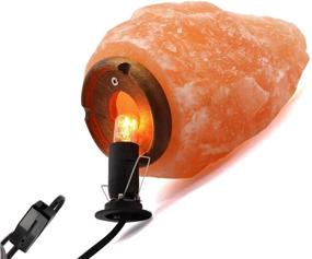 img 1 attached to 🔌 Himalayan Salt Lamp Cord with Dimmer Switch and Base Assembly, 5 Feet, E12 Base for Himalayan Salt Lamps - Includes 6 Free 8W Bulbs for Salt Lamp