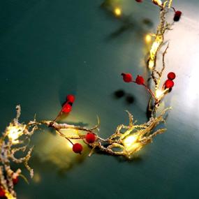 img 2 attached to MIYA LIFE Snow Branches String Light Twined With White Berry 6Ft 20LEDs Handcrafts For Christmas Decoration Tree Fireplace Festival Gift Garland Bedroom Garden Gate New Year Decor