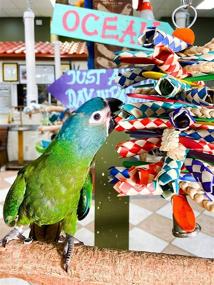 img 3 attached to 🐦 Birds LOVE Bamboo Finger Traps: Colorful Wood Foraging Fun Toys for Medium Parrots, African Grey, Caiques, Sun Conures, Cockatoos