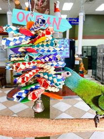 img 2 attached to 🐦 Birds LOVE Bamboo Finger Traps: Colorful Wood Foraging Fun Toys for Medium Parrots, African Grey, Caiques, Sun Conures, Cockatoos