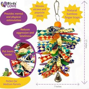 img 1 attached to 🐦 Birds LOVE Bamboo Finger Traps: Colorful Wood Foraging Fun Toys for Medium Parrots, African Grey, Caiques, Sun Conures, Cockatoos