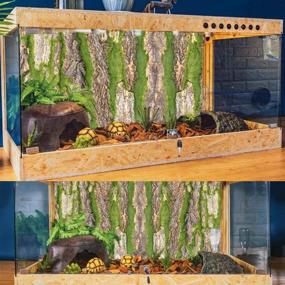 img 2 attached to 🦎 Enhance Your Reptile Habitat: PINVNBY Cork Terrarium Background and Artificial Moss - Gecko, Lizard, Tortoise, Chameleon (2 Pack)