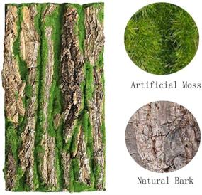 img 3 attached to 🦎 Enhance Your Reptile Habitat: PINVNBY Cork Terrarium Background and Artificial Moss - Gecko, Lizard, Tortoise, Chameleon (2 Pack)