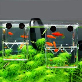 img 2 attached to 🐠 2pcs Aquarium Fish Breeder Box: Self-Floating Transparent Hatching Incubator for Guppies Baby Fish Hatchery Tank