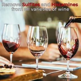 img 1 attached to 🍷 WeThinkeer Wine Filters (12 Packs) - Say Goodbye to Wine Sensitivities: Remove Sulfites, Histamine, and Tannin – Prevent Headaches, Nausea, and Sensitivity