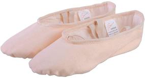 img 1 attached to Baiwu Canvas Slipper Toddler Girls Shoes