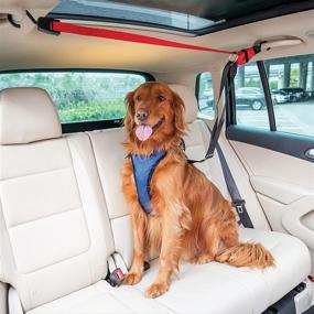 img 4 attached to 🐕 PetSafe Happy Ride Dog Zipline: Back Seat Leash for Travel Convenience