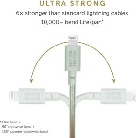 img 2 attached to NATIVE UNION Belt Cable USB-C To Lightning - 4Ft Ultra-Strong Reinforced Charging Cable With Leather Strap [MFi Certified] Compatible With IPhone/IPad (Sage)
