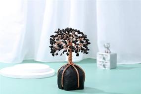 img 2 attached to 💰 Enhance Your Prosperity with Jovivi Natural Black Tourmaline Crystal Money Tree