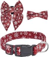 gllai pet puppy collar with bowtie and flower decoration - dual-purpose design for comfort, adjustable and cute bow collar with metal buckle, complete with matching dog leash logo