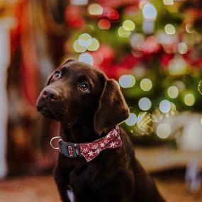 img 2 attached to Gllai Pet Puppy Collar with Bowtie and Flower Decoration - Dual-Purpose Design for Comfort, Adjustable and Cute Bow Collar with Metal Buckle, Complete with Matching Dog Leash