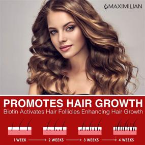 img 2 attached to 💆 Maximilian Biotin and Collagen Shampoo for Thinning Hair and Hair Loss: Effective Hair Growth Set