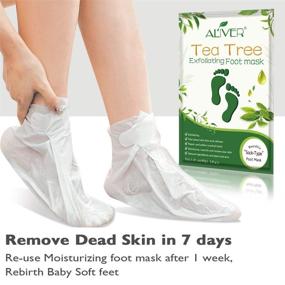img 1 attached to 👣 Tea Tree Foot Mask Peeling Off Calluses Dead Skin Repair Rough Heels 3 Pack - Foot Peel Mask for Baby Soft Smooth Touch Feet - Men and Women