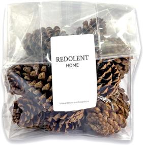 img 1 attached to PineCones Package Natural Crafting Home Furniture