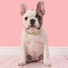 img 1 attached to 🐶 Dibiao Dog Collar with Chain - Stylish Gold Chain Necklace for Teddy French Bulldog - Pet Jewelry Accessories for Small to Medium Breeds - 5.9x5.9x0.4in Size