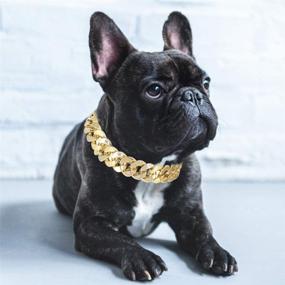 img 2 attached to 🐶 Dibiao Dog Collar with Chain - Stylish Gold Chain Necklace for Teddy French Bulldog - Pet Jewelry Accessories for Small to Medium Breeds - 5.9x5.9x0.4in Size