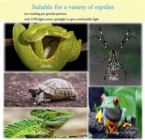 img 2 attached to 🐢 Rotatable Basking Lamp with Reptile Heat Lamps for Turtle Aquarium Tank, UVA/UVB Heating, Clamp Included - Suitable for Lizard, Snake, Frog, Spider, and Aquatic Plants | Includes 3 Heat Bulbs & 1 TM (E27,110V)