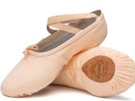 🩰 sansha pro 1 canvas ballet shoe logo