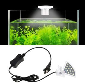 img 4 attached to 🐠 Senzeal M3 Aquarius Aquarium Fish Tank Light: 5W 12 LED Fan-Shaped Clip Lamp for 4-10 Inch Fish Tanks with 600LM White Lighting