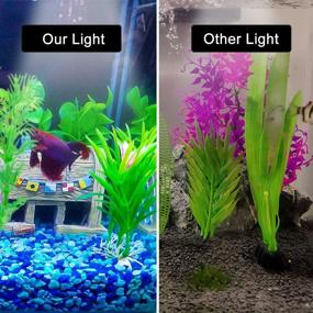 img 1 attached to 🐠 Senzeal M3 Aquarius Aquarium Fish Tank Light: 5W 12 LED Fan-Shaped Clip Lamp for 4-10 Inch Fish Tanks with 600LM White Lighting