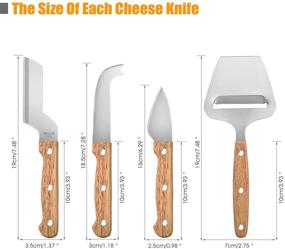 img 1 attached to Нож для сыра из нержавеющей стали с распространителем Шаркутерии