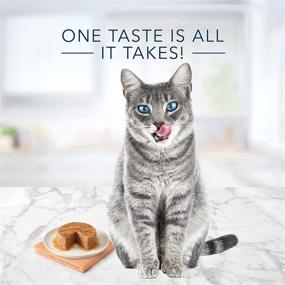 img 1 attached to 🐱 Blue Buffalo Blue Tastefuls Turkey Chicken Pate Cat Food, 5.5 oz, Pack of 12, 12 X 5.5 OZ