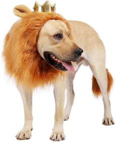 img 1 attached to 🦁 King of the Bark: Dog Lion Mane Costume with Crown - Perfect Pet Wig for Halloween & Christmas Parties - Adjustable Elastic Strap - Fits Medium to Large Sized Dogs