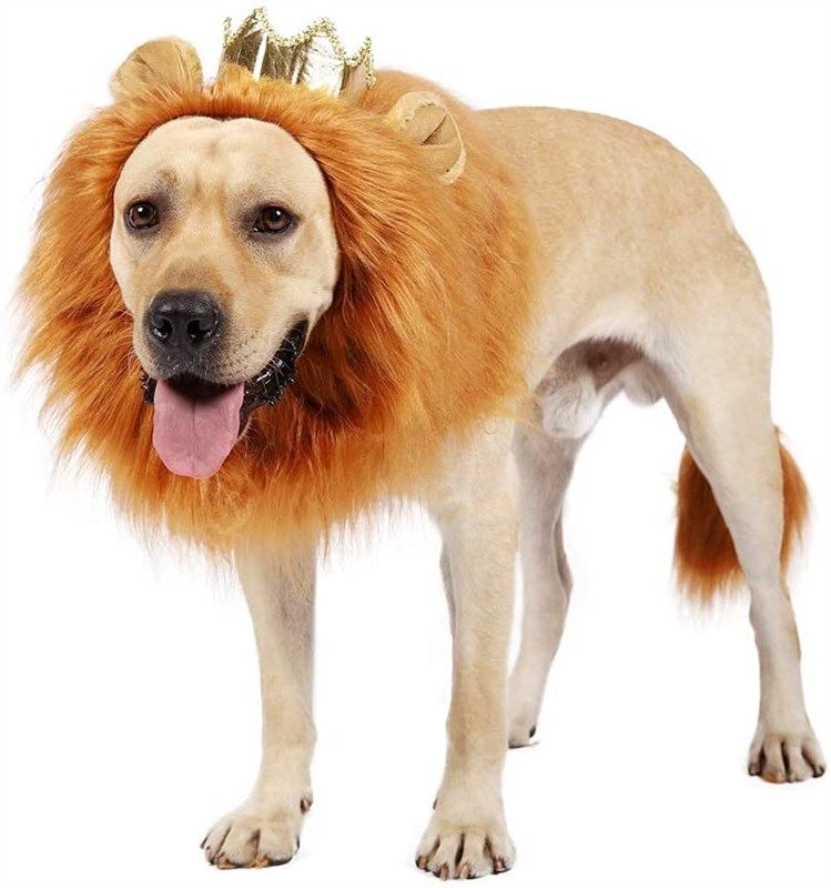 Funparty Lion Mane Costume Crown Reviews & Ratings | Revain