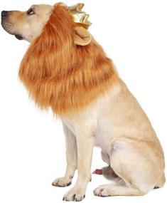 img 2 attached to 🦁 King of the Bark: Dog Lion Mane Costume with Crown - Perfect Pet Wig for Halloween & Christmas Parties - Adjustable Elastic Strap - Fits Medium to Large Sized Dogs