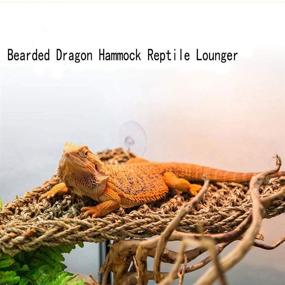 img 1 attached to 🦎 Kathson Bearded Dragon Hammock with Reptile Plant, Hanging Terrarium, Boston Plant Jungle Climber Vines, Flexible Leaves - Lizards Habitat Decor Accessories Coconut Hide for Chameleon Gecko Snakes (Pack of 5)