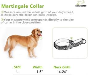 img 3 attached to EXPAWLORER Adjustable Martingale Collars for Medium to Large Dogs 🐾 - Heavy Duty Nylon Training Collar for Walking, Hiking, Running with Pattern