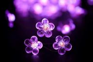 🌸 enchanting joyathome pink cherry blossom fairy string lights: 19ft, 40 leds, usb powered, perfect for spring, nursery, wedding, dorm, girls bedroom, baby carriage decoration логотип