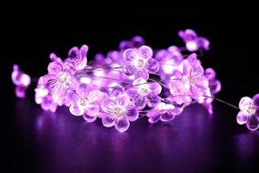 img 1 attached to 🌸 Enchanting Joyathome Pink Cherry Blossom Fairy String Lights: 19ft, 40 LEDs, USB Powered, Perfect for Spring, Nursery, Wedding, Dorm, Girls Bedroom, Baby Carriage Decoration