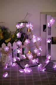 img 2 attached to 🌸 Enchanting Joyathome Pink Cherry Blossom Fairy String Lights: 19ft, 40 LEDs, USB Powered, Perfect for Spring, Nursery, Wedding, Dorm, Girls Bedroom, Baby Carriage Decoration