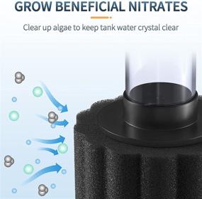 img 3 attached to Optimized Pawfly Nano Bio Sponge Filter Kit for Quiet Fry Betta Shrimp Foam Filtration in Small Fish Tanks up to 3 Gallon Size, including Airline Tubing