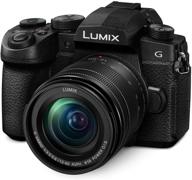 panasonic lumix g95 mirrorless camera: 20.3mp, 5-axis dual i.s. 2, 4k video, v-log l, flip-out touchscreen logo