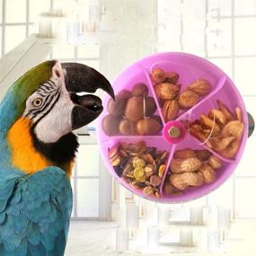 img 4 attached to 🦜 Hypeety Bird Parrot Foraging Toy: Enhance Intelligence and Growth with Creative Seed Food Ball and Rotating Wheel - Ideal Training Toy for Parrot Parakeet Cockatiel Conure Lovebird