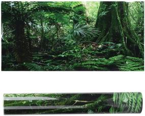 img 4 attached to IFCOW Aquarium Background Rainforest Decoration