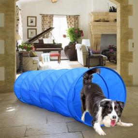 img 2 attached to 🐾 XiaZ Dog Agility Equipment: Complete Starter Kit for Outdoor Training - Dog Tunnel, Jumping Ring, High Jumps, and More, with Convenient Carrying Case Included