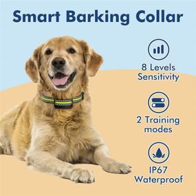 img 3 attached to urbenfit Rechargeable Anti Bark Collar with 8 Adjustable Sensitivity - Humane Solution for Small Medium Large Dogs