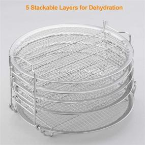 img 2 attached to Dehydrator Accessories Stainless Dehydrating Dehydrated