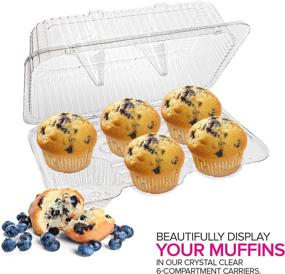 img 1 attached to 🧁 Stock Your Home 6-Compartment Disposable Containers (40 Count) - Cupcake & Muffin Storage Trays with Deep Cups - Hinged Lock Clamshell for Easy Transport