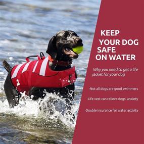 img 3 attached to 🐶 Phyxin Dog Life Jacket: Secure and Adjustable Vest for Safe Swimming, Striped Puppy Life Preserver with Leash Hole - Ideal for Small, Medium & Large Dogs