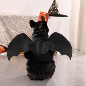 img 2 attached to 🦇 PAWZ Road Halloween Bat Pet Costume: Spooky Attire for Dogs and Cats from XS to Large