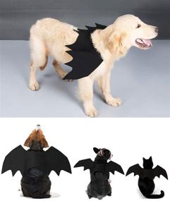 img 1 attached to 🦇 Enchant Your Pet with Dog Bat Wings - Halloween Wing Costumes for Medium Dogs by B bangcool