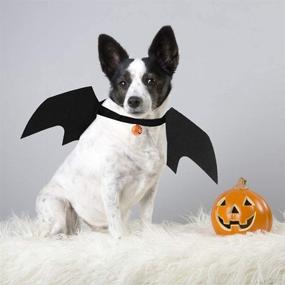 img 3 attached to 🦇 Enchant Your Pet with Dog Bat Wings - Halloween Wing Costumes for Medium Dogs by B bangcool