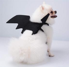 img 2 attached to 🦇 Enchant Your Pet with Dog Bat Wings - Halloween Wing Costumes for Medium Dogs by B bangcool