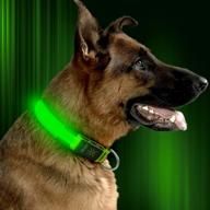 flashseen led dog collar: usb rechargeable glowing pet collar for night safety logo